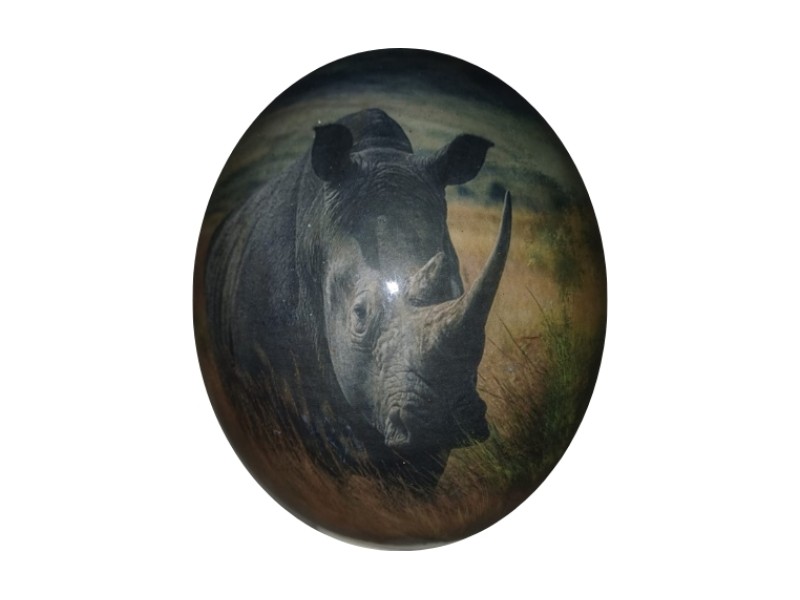 Decoupage Ostrich Egg - Rhino